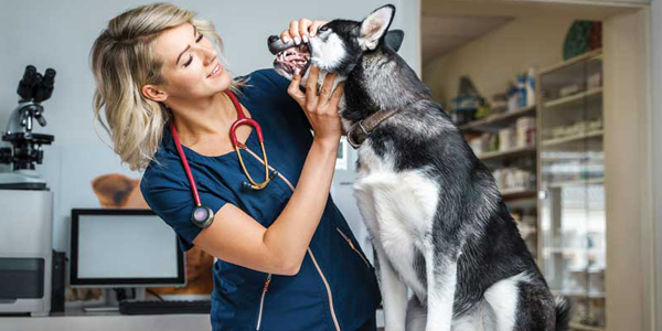 Has the time come for dental month to die?