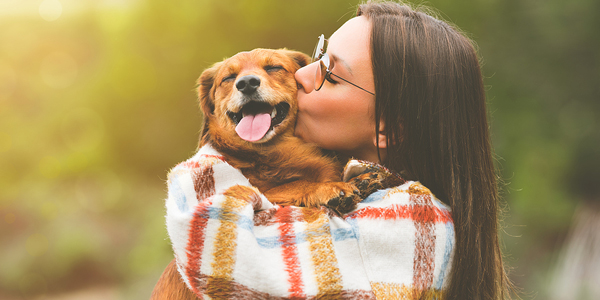 Single Americans prefer pets over people on Valentine’s Day, survey says