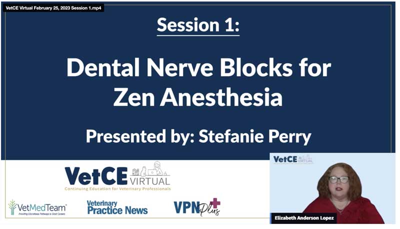 Dental Nerve Blocks for Zen Anesthesia