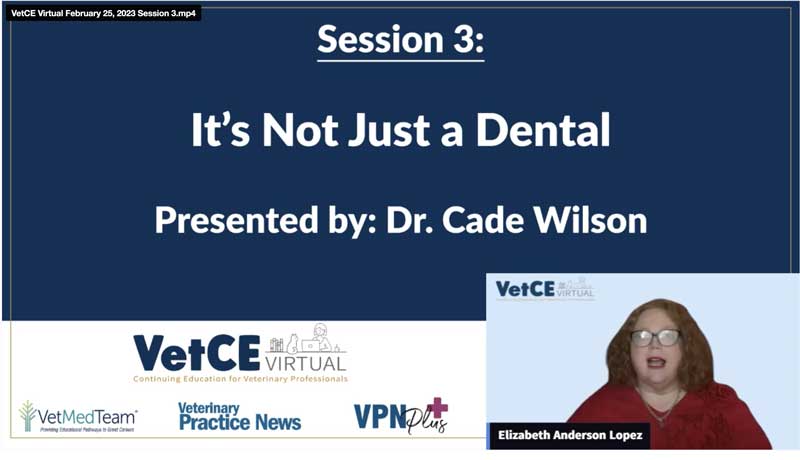 It’s Not Just a Dental