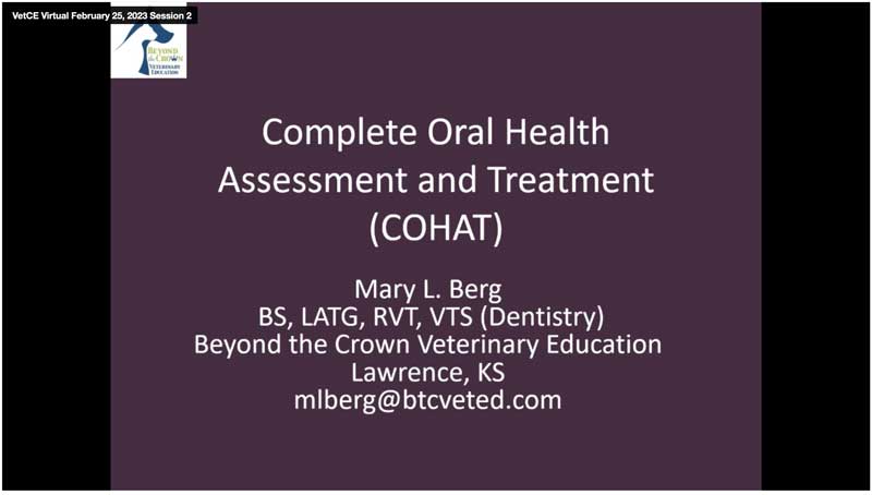 Steps to a Comprehensive Oral Health Assessment and Treatment