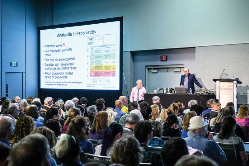 VMX featured more than 1,300 hours of continuing education (CE) in both virtual and on-site sessions.