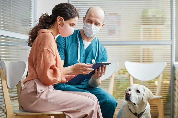 Insuring for dental care