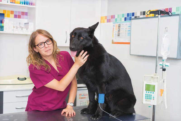 Tips for fluid therapy in the ER