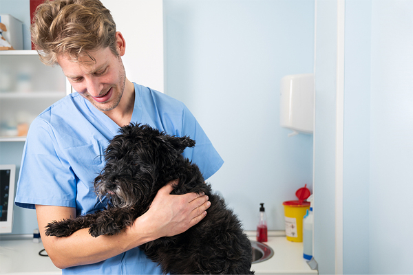 Vet techs’ expertise, opinions sought by AAHA