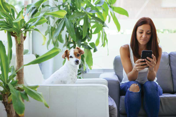 How to boost your flea and tick compliance
