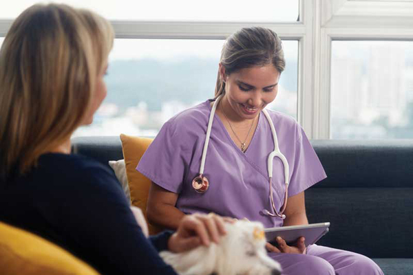Key trends driving veterinary care’s future