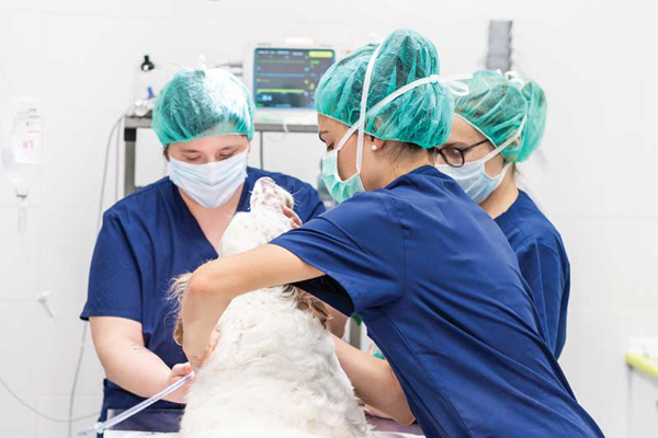Hurdling common surgical roadblocks