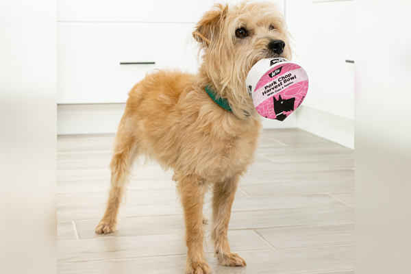 Countertop dog food-maker nabs $25K Pet Care Innovation Prize