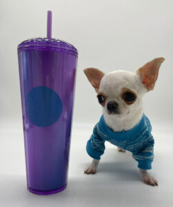 Photos courtesy Guinness World Records