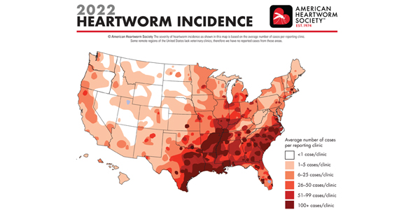 Southeast U.S. “hotbed” for heartworms, warns AHS