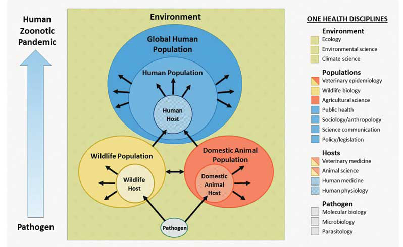 Transdisciplinary One Health teams that tackle challenges such as emerging infectious diseases of humans include veterinary professionals. PHOTO COURTESY DEEM AND BRENN-WHITE. MOLECULAR FRONTIERS JOURNAL.