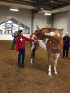 Baited stretches can improve the range of motion of the neck laterally. and will activate different muscle groups. Photos courtesy Jane Manfredi