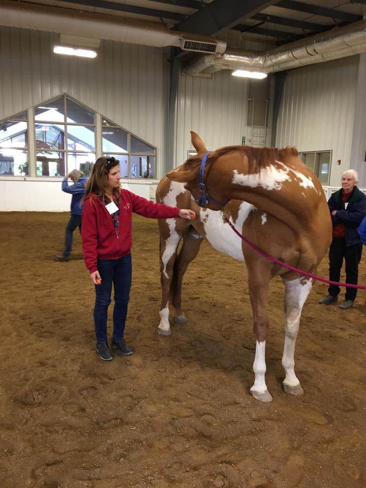 Baited stretches can improve the range of motion of the neck laterally. and will activate different muscle groups. Photos courtesy Jane Manfredi