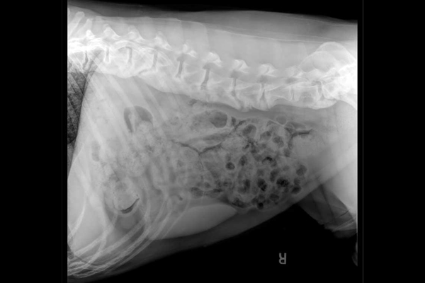 What’s your diagnosis?