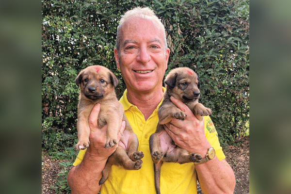 Rabies vaccination programs contribute to both human and animal welfare