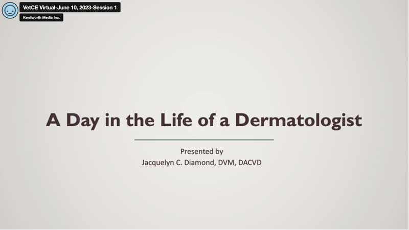 A Day in the Life of a Dermatologist