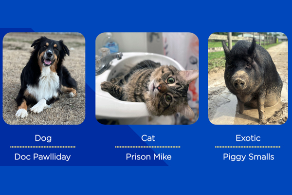 “Doc Pawlliday,” “Prison Mike,” “Piggy Smalls” top wackiest pet names list