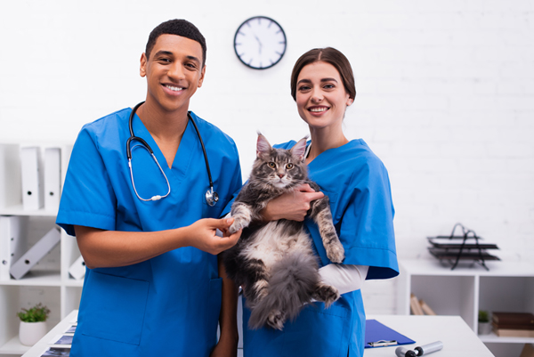 Veterinary Appreciation Day honors contributions to public and pet health