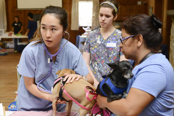 $6M gift supports accessible veterinary care in U.S.