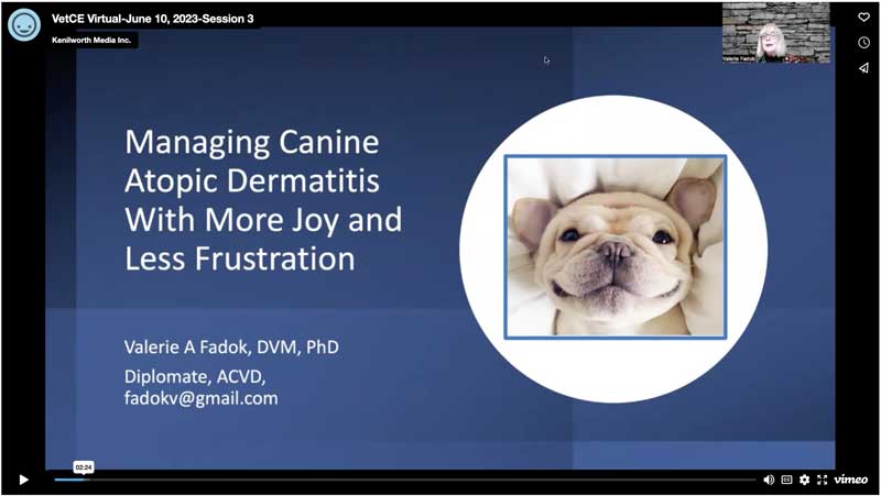 Managing Canine Atopic Dermatitis With More Joy and Less Frustration