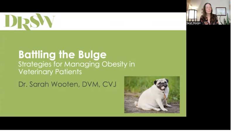 Battling the Bulge: Strategies for Managing Obesity in Veterinary Patients