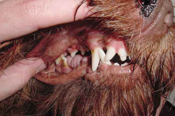 Revisiting a landmark case from the past