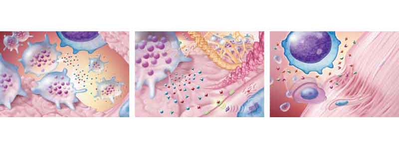 Platelet-Rich Plasma: The Importance of Uniformity and Consistency