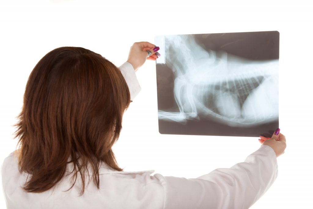 VetMedTeam: Small Animal Radiology of the Esophagus and Stomach