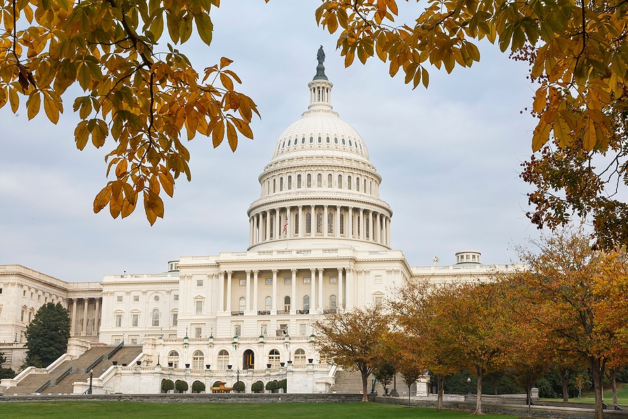 Bipartisan bill aims to address rural veterinarian shortage