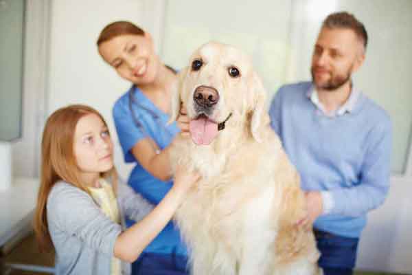 Implementing the ‘OA pyramid of care’