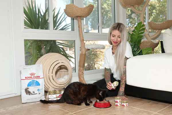 Campaign tackles feline elusiveness in clinics
