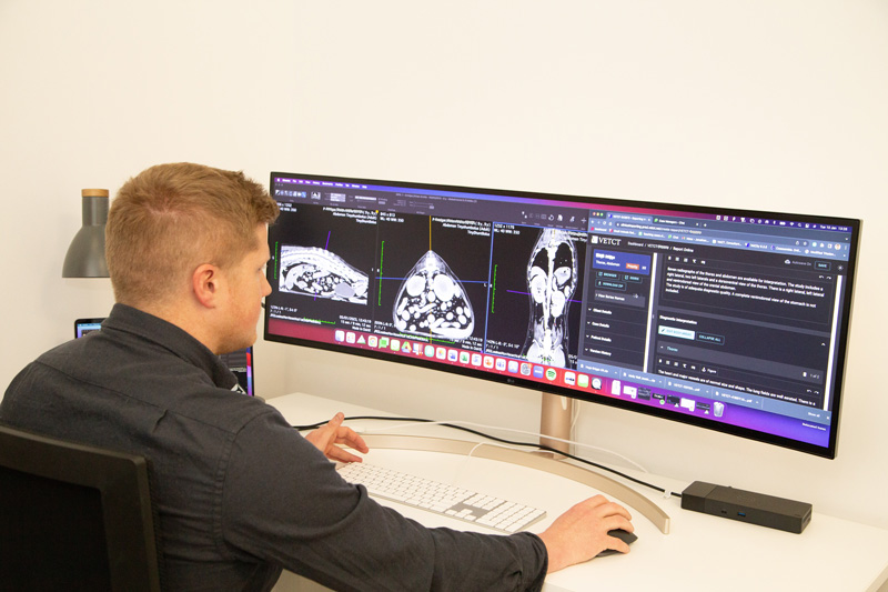AI in the practice—what does the future hold?