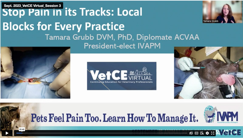 Stop It in its Tracks: Local Pain Blocks for Every Practice