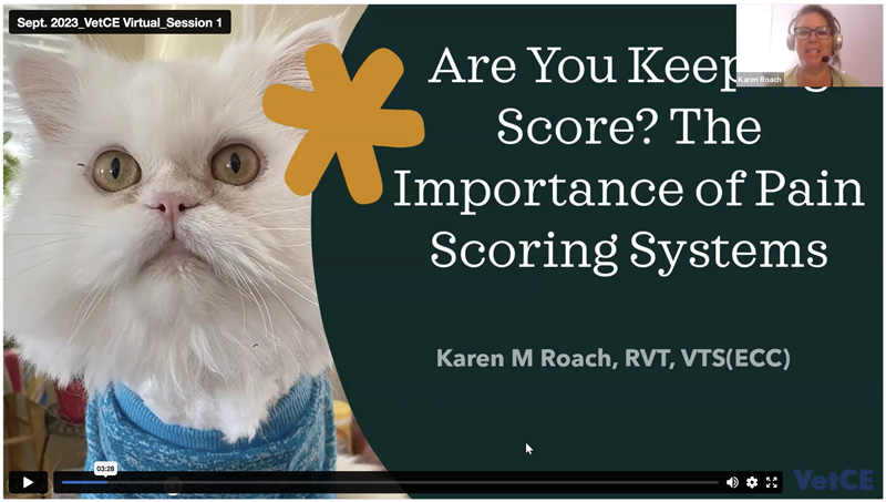 Are You Keeping Score? The Importance of Pain Scoring Systems