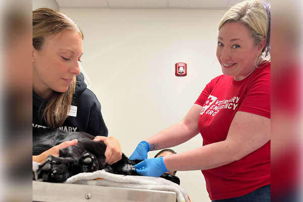 Blood bank program supports urgent veterinary needs