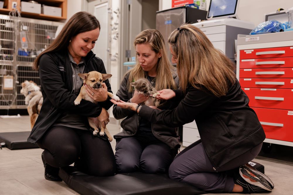 More than $1.2M donation aids in caring for underserved pets
