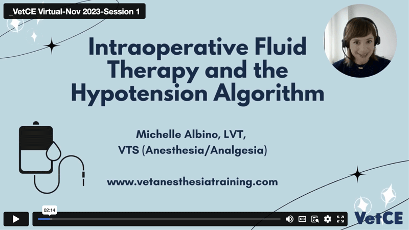 Intraoperative Fluid Therapy and the Hypotension Algorithm