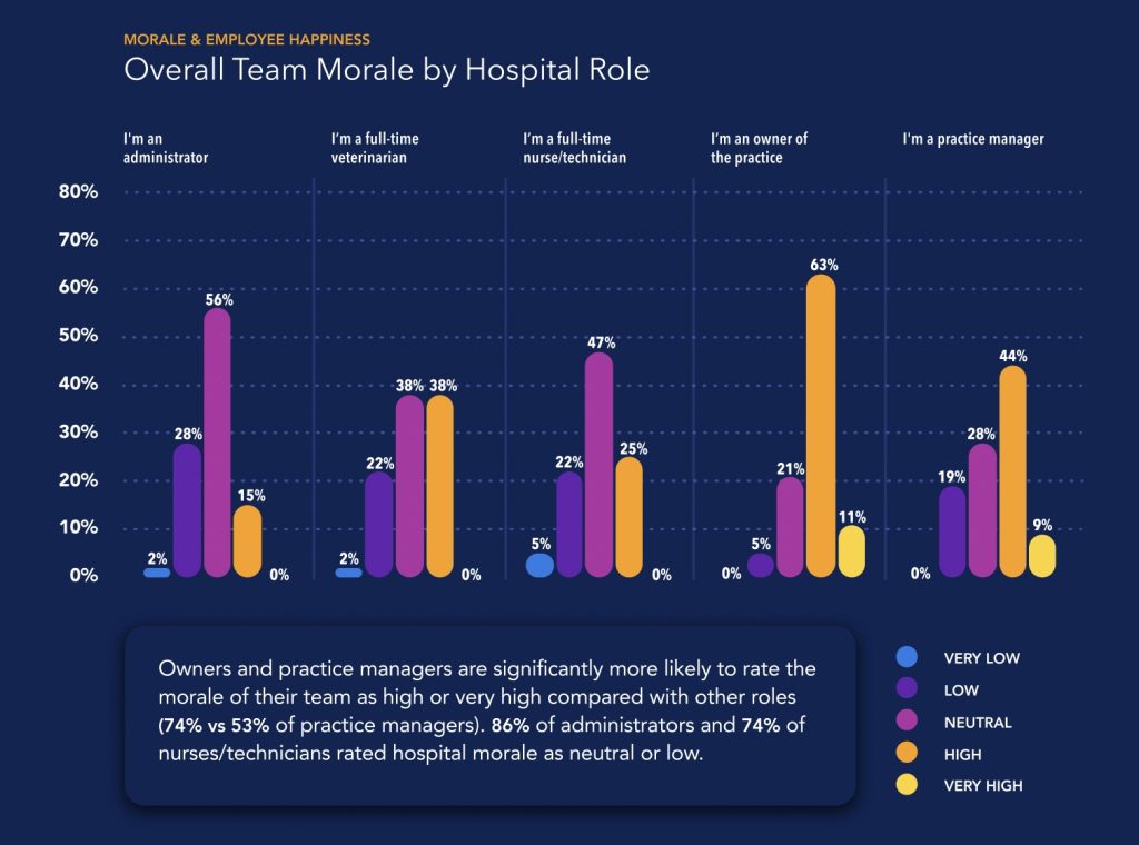 Elevating team morale and retention