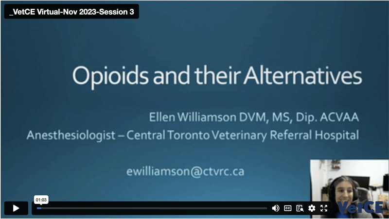 Analgesia—Opioids and Their Alternatives
