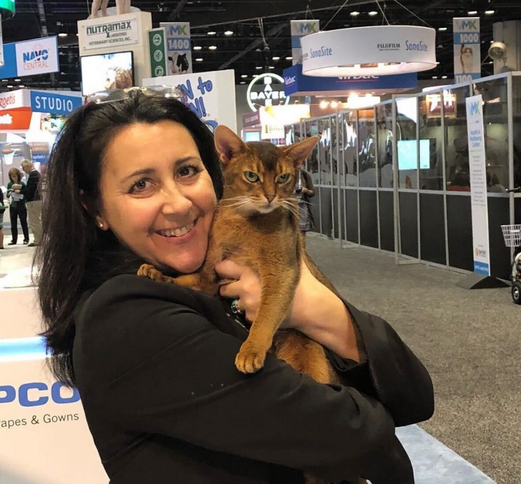 Gallant Therapeutics announces study for feline stem cell therapy