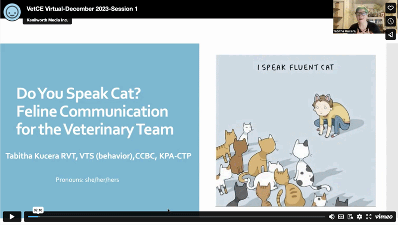 Do You Speak Cat? Feline Communication for the Veterinary Team