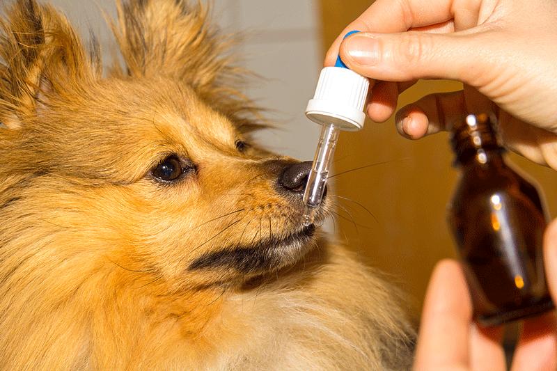 Compounding benefits through medication form options