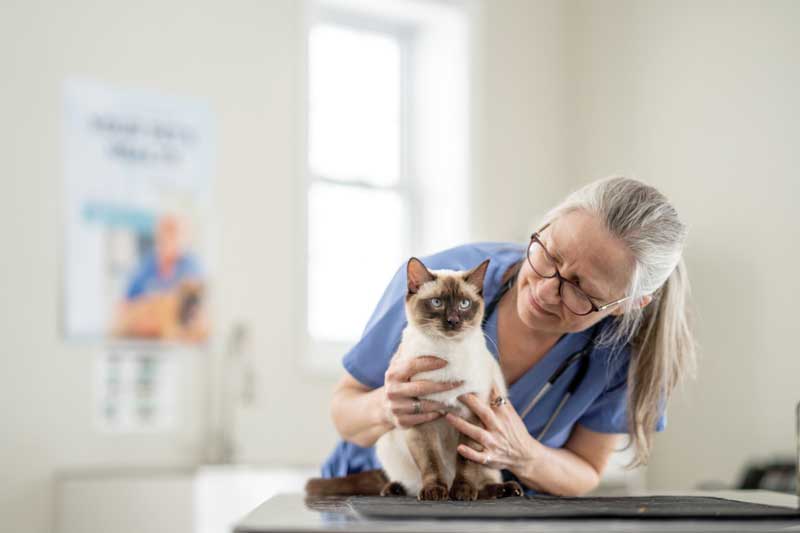Practicing a spectrum of care
