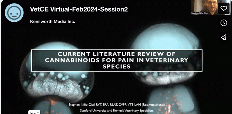 Current Literature Review of Cannabinoids for Pain in Veterinary Species