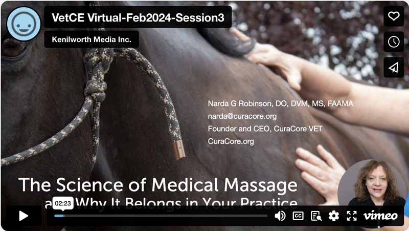 The Science of Medical Massage and Why It Belongs in Your Practice