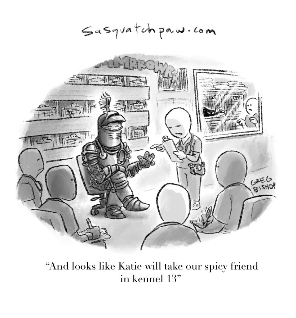 The Lighter Side Well Suited Second Chance Veterinary Care The Lighter Side Well Suited Second Chance Veterinary Care