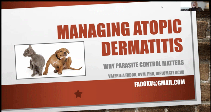 Managing Atopic Dermatitis: Why Parasite Control Matters