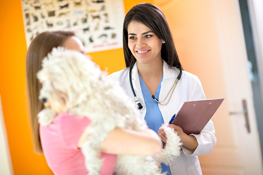 New resource portal targets expanding access to veterinary care