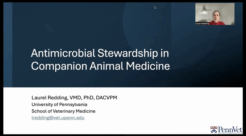 Antimicrobial Stewardship in Companion Animal Medicine